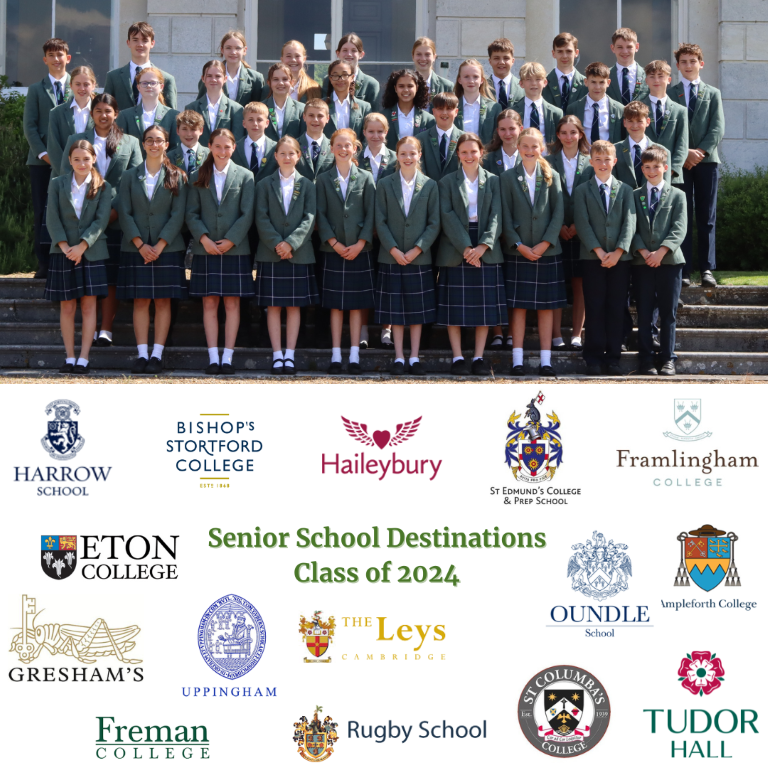 Year 8 students pictured in their uniform above the 15 senior school logos